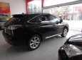 Lexus RX 2009 - Cần bán lại xe Lexus RX350 đời 2009, màu đen, chính chủ