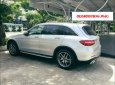 Mercedes-Benz Smart 300 4 Matic 2017 - Đà Nẵng giao ngay GLC 300, giá tốt nhất toàn quốc