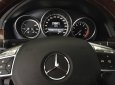 Mercedes-Benz E400   2013 - Bán Mercedes E400 đời 2013, nhập khẩu, giá tốt