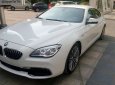 BMW 6 Series 640i Gran Coupe 2017 - Bán BMW 640i giá tốt giao ngay, BMW 640i Gran Coupe 2017 mới, bán xe BMW 640i 4 cửa 2017 nhập khẩu, bán BMW thể thao mới