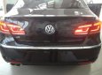 Volkswagen Passat CC 2013 - Volkswagen Passat CC - Sedan nhập khẩu chính hãng - Mua xe vui lòng liên hệ Quang Long 0933689294