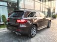 Mercedes-Benz Smart 300 4Matic 2017 - Bán Mercedes GLC300 4Matic, màu nâu mới, giao ngay trong tháng