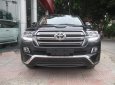 Toyota Land Cruiser GXR V6 2017 - Bán xe Toyota Land Cruiser GXR 2017, giá không thể tốt hơn