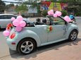 Volkswagen New Beetle 2004 - Cần bán Volkswagen New Beetle đời 2004, màu xanh lam, xe nhập giá cạnh tranh