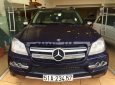 Mercedes-Benz GL350 2009 - Bán xe Mercedes đời 2009, màu xanh lam, xe nhập