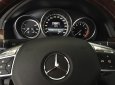 Mercedes-Benz E400 2013 - Xe E400 SX 2013, ĐK T4/2014 cần bán