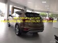 Hyundai Santa Fe 2017 - Bán xe Hyundai Santa Fe sản xuất 2017, màu nâu, nhập khẩu nguyên chiếc