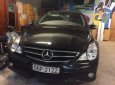 Mercedes-Benz R class  R300  2010 - Bán ô tô Mercedes R300 đời 2010, màu đen, nhập khẩu 