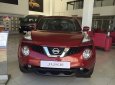 Nissan Juke 2016 - Bán ô tô Nissan Juke đời 2016, màu đỏ