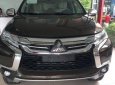 Mitsubishi Pajero 2017 - Cần bán Mitsubishi Pajero đời 2017, màu nâu, nhập khẩu nguyên chiếc