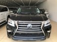 Lexus GX460 2017 - Cần bán Lexus GX460 2017, màu đen, xe nhập