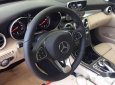 Mercedes-Benz C200 2017 - Cần bán Mercedes đời 2017, xe đẹp sang trọng 