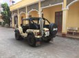 Jeep Wrangler 1990 - Cần bán gấp Jeep Wrangler đời 1990, nhập khẩu nguyên chiếc, giá 175tr