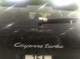 Porsche Cayenne 2008 - Cần bán gấp Porsche Cayenne đời 2008, màu đen, nhập khẩu