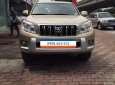 Toyota Prado TXL 2009 - Cần bán gấp Toyota Prado TXL đời 2009, màu vàng, nhập khẩu chính chủ