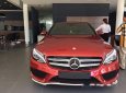 Mercedes-Benz A class A45 AMG 2016 - Bán ô tô Mercedes A45 AMG đời 2016, màu đỏ, xe nhập