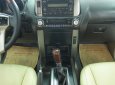 Toyota Land Cruiser Prado 2010 - Bán xe Toyota Land Cruiser Prado lốp treo đời 2010, màu vàng, nhập khẩu