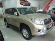 Toyota Land Cruiser Prado 2010 - Bán xe Toyota Land Cruiser Prado lốp treo đời 2010, màu vàng, nhập khẩu