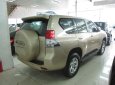 Toyota Land Cruiser Prado 2010 - Bán xe Toyota Land Cruiser Prado lốp treo đời 2010, màu vàng, nhập khẩu