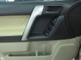 Toyota Land Cruiser Prado 2010 - Bán xe Toyota Land Cruiser Prado lốp treo đời 2010, màu vàng, nhập khẩu