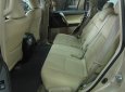 Toyota Land Cruiser Prado 2010 - Bán xe Toyota Land Cruiser Prado lốp treo đời 2010, màu vàng, nhập khẩu