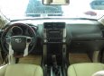 Toyota Land Cruiser Prado 2010 - Bán xe Toyota Land Cruiser Prado lốp treo đời 2010, màu vàng, nhập khẩu