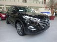 Hyundai Santa Fe 2017 - Hyundai Phú Yên_ Hyundai Santafe 2017, giá cực sốc, khuyến mãi cực cao lên đến 100tr đồng, hỗ trợ vay 80% giá trị xe