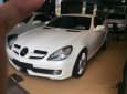 Mercedes-Benz SLK class 200 2010 - Cần bán Mercedes SLK 200 đời 2010, màu trắng đã đi 10000 km