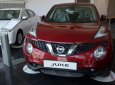 Nissan Juke 1.6L 2017 - Bán Nissan Juke, hỗ trợ sốc, trả góp 80% giá trị xe. Hotline 0975884809