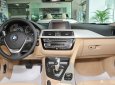 BMW 3 Series 320i 2017 - Bán BMW 320i 2017, màu đỏ, nhập khẩu, giá rẻ nhất, có xe giao ngay, hỗ trợ mua trả góp