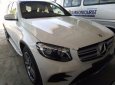 Mercedes-Benz Smart GLC 300 4Matic 2017 - Bán ô tô Mercedes GLC 300 4Matic 2017, màu trắng