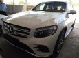 Mercedes-Benz Smart GLC 300 4Matic 2017 - Bán ô tô Mercedes GLC 300 4Matic 2017, màu trắng