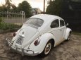 Volkswagen Beetle 1990 - Cần bán xe Volkswagen Beetle đời trước 1990, màu trắng, nhập khẩu nguyên chiếc, giá tốt