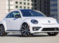 Volkswagen New Beetle Dune 2017 - Con bọ Beetle Dune màu trắng thời trang - Xe Đức nhập khẩu LH Quang Long 0933689294