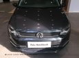 Volkswagen Polo 2017 - Polo Hatchback xe thương hiệu Đức nhập khẩu - LH Quang Long 0933689294