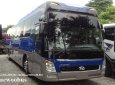 Hyundai Universe 2011 - Cần bán lại xe Hyundai Universe đời 2011, màu xanh lam, nhập khẩu Hàn Quốc