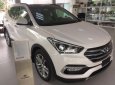 Hyundai Santa Fe 2018 - Bán Hyundai Santa fe 2018 CKD máy dầu, bản full giá cực tốt, hỗ trợ đầy đủ