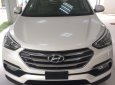 Hyundai Santa Fe 2018 - Bán Hyundai Santa fe 2018 CKD máy dầu, bản full giá cực tốt, hỗ trợ đầy đủ