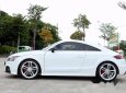 Audi Quattro TT-S  S-Line 2008 - Bán xe Audi Quattro TT-S  S-Line đời 2008, màu trắng, nhập khẩu