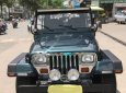 Jeep Wrangler MT 1995 - Cần bán lại xe Jeep Wrangler đời 1995, màu xanh lam, nhập khẩu số sàn