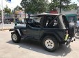 Jeep Wrangler MT 1995 - Cần bán lại xe Jeep Wrangler đời 1995, màu xanh lam, nhập khẩu số sàn