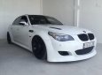 BMW M5   2007 - Bán BMW M5 năm 2007, màu trắng, nhập khẩu nguyên chiếc