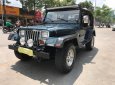 Jeep Wrangler MT 1995 - Cần bán lại xe Jeep Wrangler đời 1995, màu xanh lam, nhập khẩu số sàn