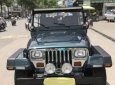 Jeep Wrangler 1995 - Bán xe Jeep Wrangler đời 1995, xe nhập số sàn giá cạnh tranh