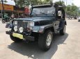 Jeep Wrangler 1995 - Bán xe Jeep Wrangler đời 1995, xe nhập số sàn giá cạnh tranh