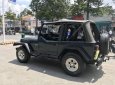 Jeep Wrangler 1995 - Bán xe Jeep Wrangler đời 1995, xe nhập số sàn giá cạnh tranh
