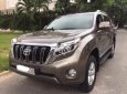 Toyota Prado 2014 - Chính chủ bán Toyota Prado đời 2014, màu nâu, nhập khẩu