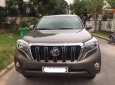 Toyota Prado 2014 - Chính chủ bán Toyota Prado đời 2014, màu nâu, nhập khẩu