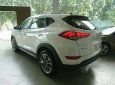 Hyundai Tucson Limited 2.0 AT FWD 2017 - Bán Hyundai Tucson 2017 CKD - LH: 0963.393.983