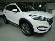 Hyundai Tucson Limited 2.0 AT FWD 2017 - Bán Hyundai Tucson 2017 CKD - LH: 0963.393.983